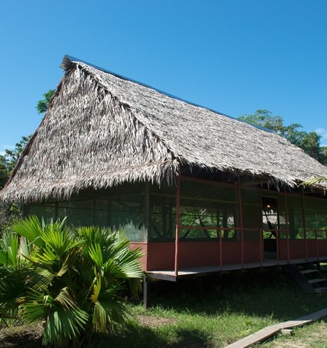 Iquitos8